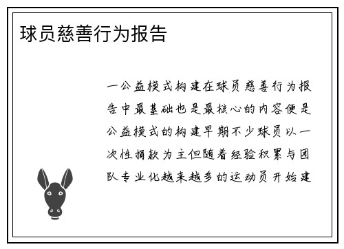 球员慈善行为报告